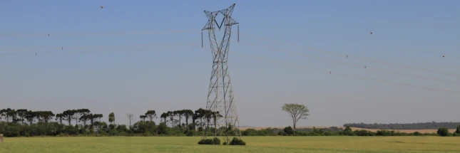 Atuação do Sistema FAEP leva Copel a retirar notificações a produtores rurais