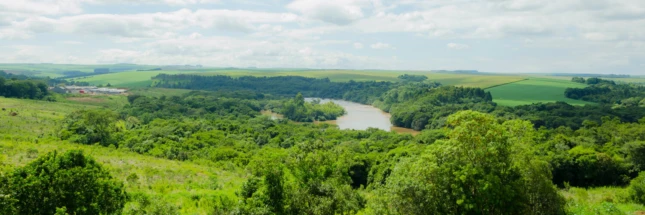 Articulação do Sistema FAEP colabora para o TRF4 extinguir ação sobre áreas rurais na Mata Atlântica