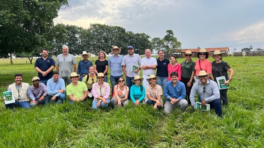 Missao paisagens bm ms