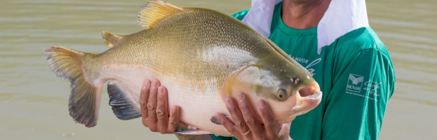 6ff68b76 567d 449b 940d ce6472797f3b