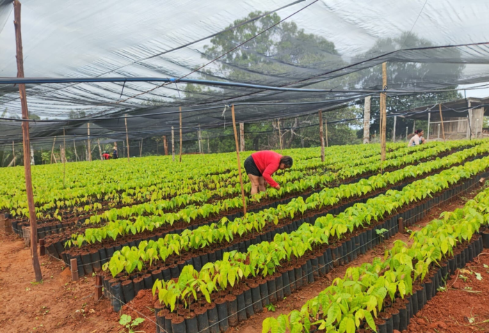 Whats App Image 2025 10 10 at 10 20 39