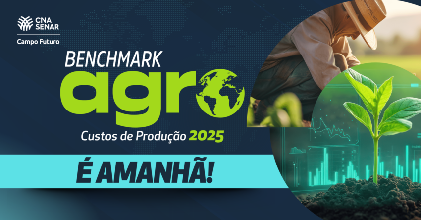 Bench landscape Amanha