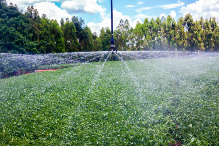 52680340276 fd54e2a14b c