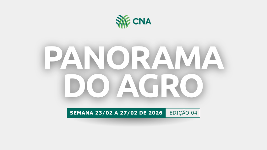 Panorama do Agro 04