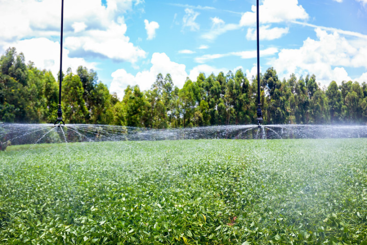 52680775355 2ce30fa7a2 c 1