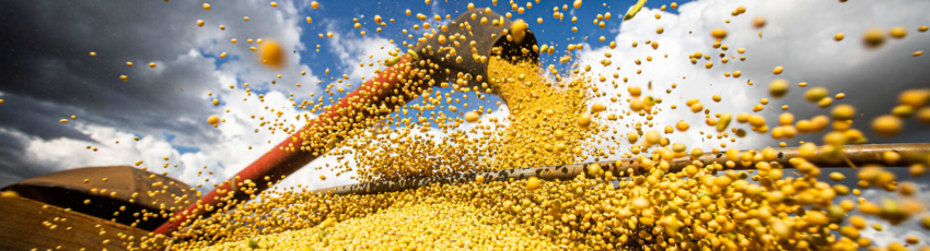 Commodities banner agro