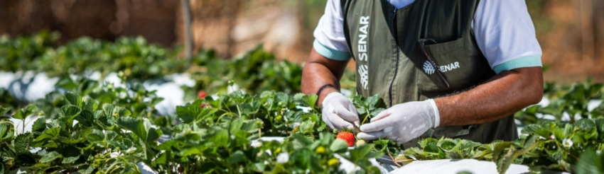 Conheca o senar institucional senar 1