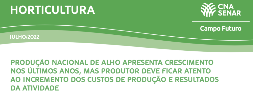 Produção nacional de alho apresenta crescimento nos últimos anos