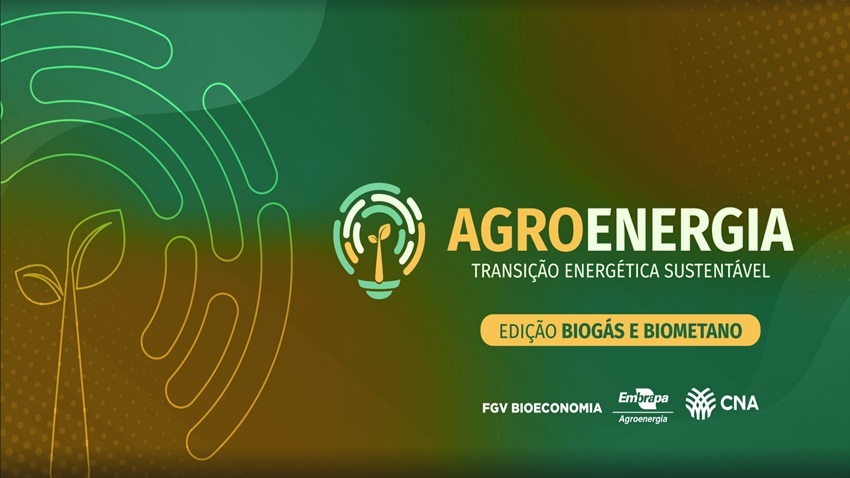Para especialista, biogás e biometano podem ampliar competitividade do agro brasileiro