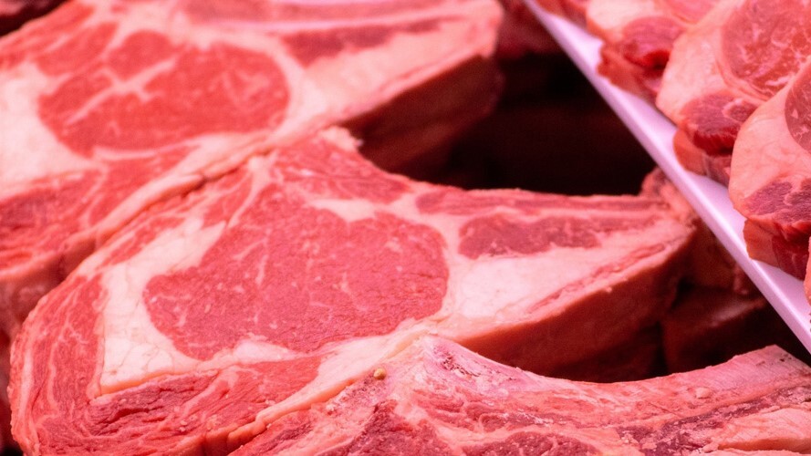 Comitiva do Sistema FAEP busca novas tecnologias no Conacarne