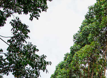 Gestão do Agronegócio