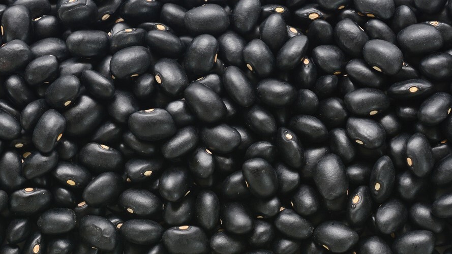 Novo indicador de preço traz transparência para a cadeia do feijão