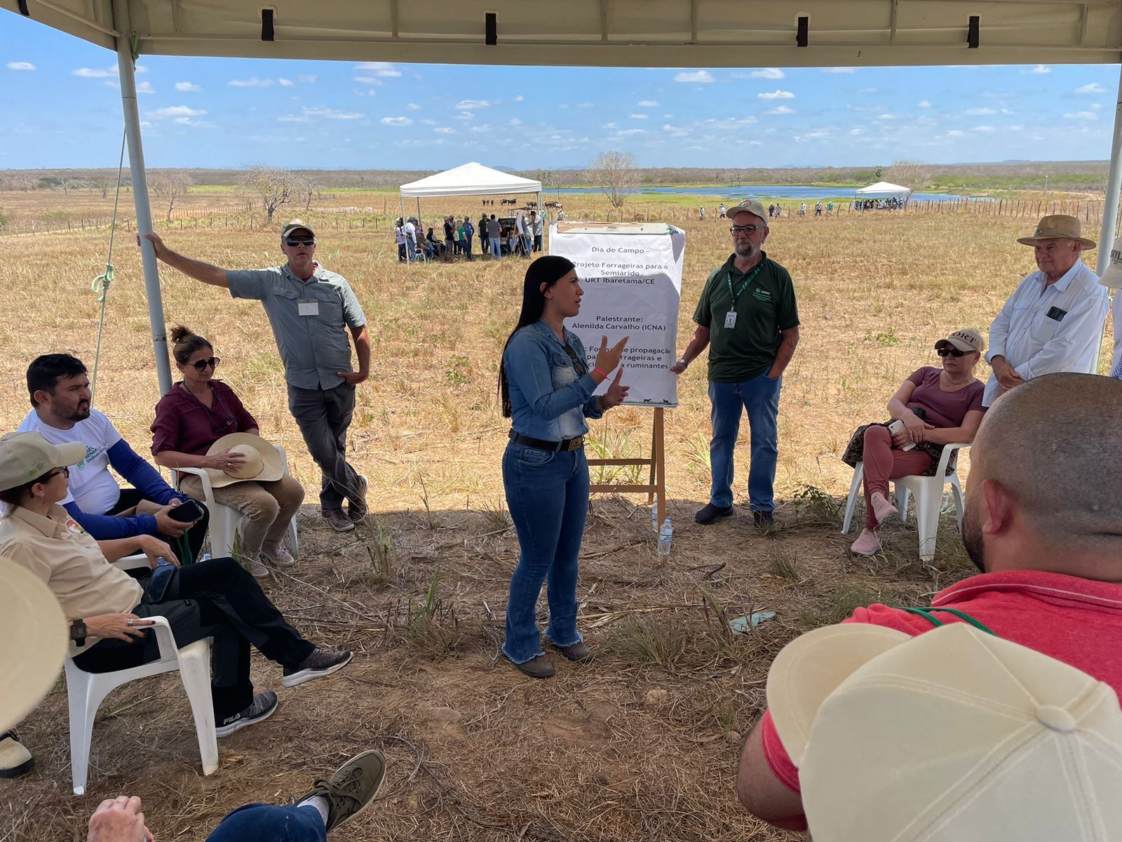 Sistema Faec/Senar e Instituto CNA promovem Dia de Campo do Projeto Forrageiras em Ibaretama