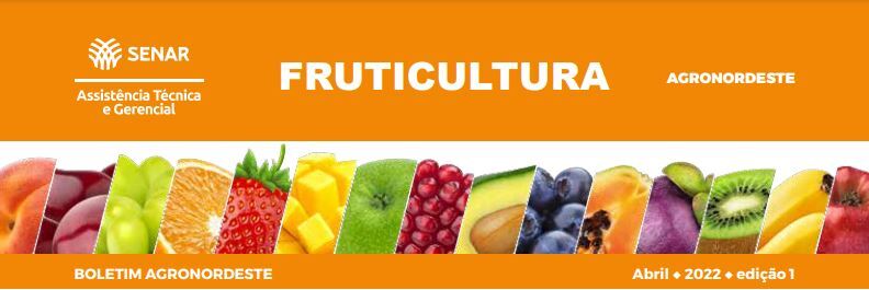 Clique para abrir o PDF