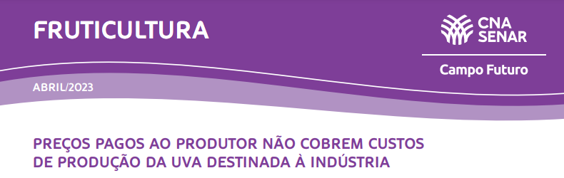 Fruticultura: Desafios quanto aos preços recebidos segue pressionando os resultados dos produtores de uva.