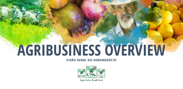 Visão Geral do Agro