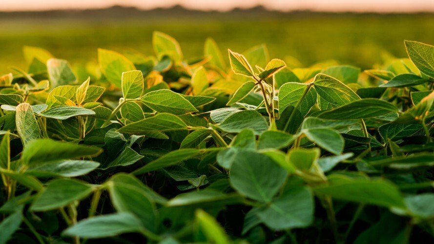 Congresso do Agronegócio Global reúne grandes nomes do setor em Curitiba