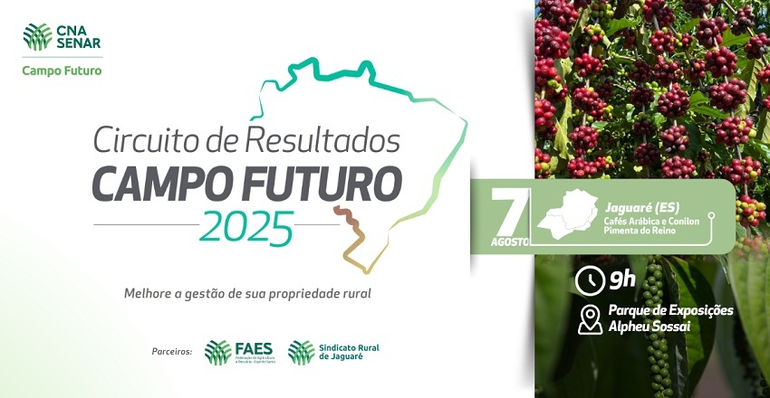 CNA apresenta custos de produção de café e pimenta-do-reino no Sudeste