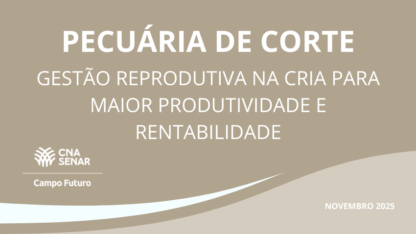 Gestão reprodutiva na cria para maior produtividade e rentabilidade