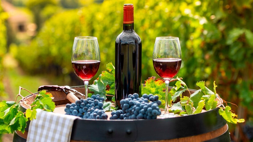 Profissionalização faz vinhos do Paraná ganharem destaque nacional